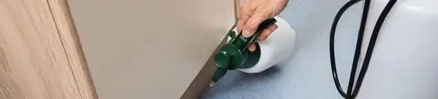 Bed bug exterminator treating baseboards and cracks with targeted spray in Boston, MA