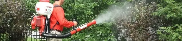 Mosquito control technician fogging shrubs and landscaping for mosquito treatment in Boston, MA