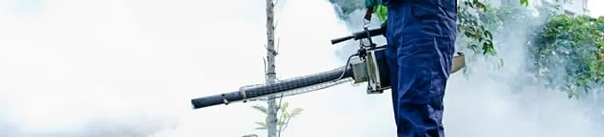 Pest control technician fogging an outdoor area for insect control in Boston, MA