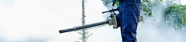 Pest control technician fogging an outdoor area for insect control in Boston, MA