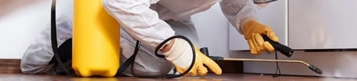 Roach exterminator treating cracks and crevices along kitchen baseboards in Boston, MA