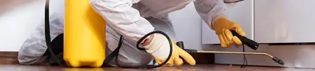 Roach exterminator treating cracks and crevices along kitchen baseboards in Boston, MA