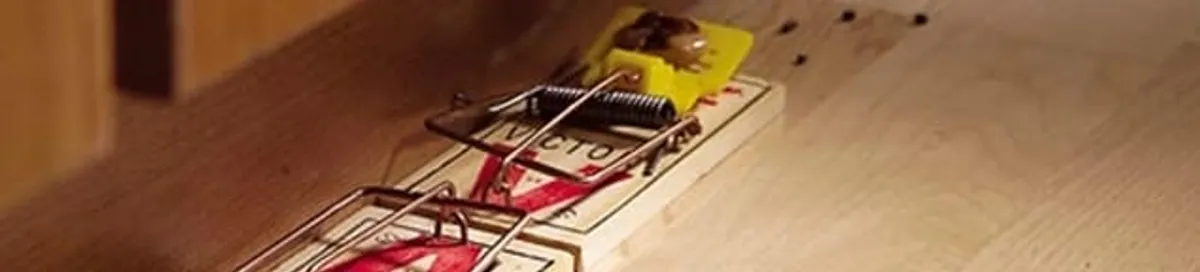 Rodent trap set indoors for rodent control and prevention in Boston, MA