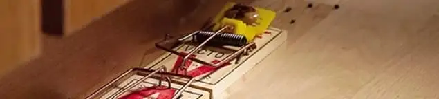 Rodent trap set indoors for rodent control and prevention in Boston, MA